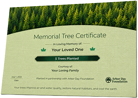 Plant Trees in Memory of Mr. Raymond C. Sadler